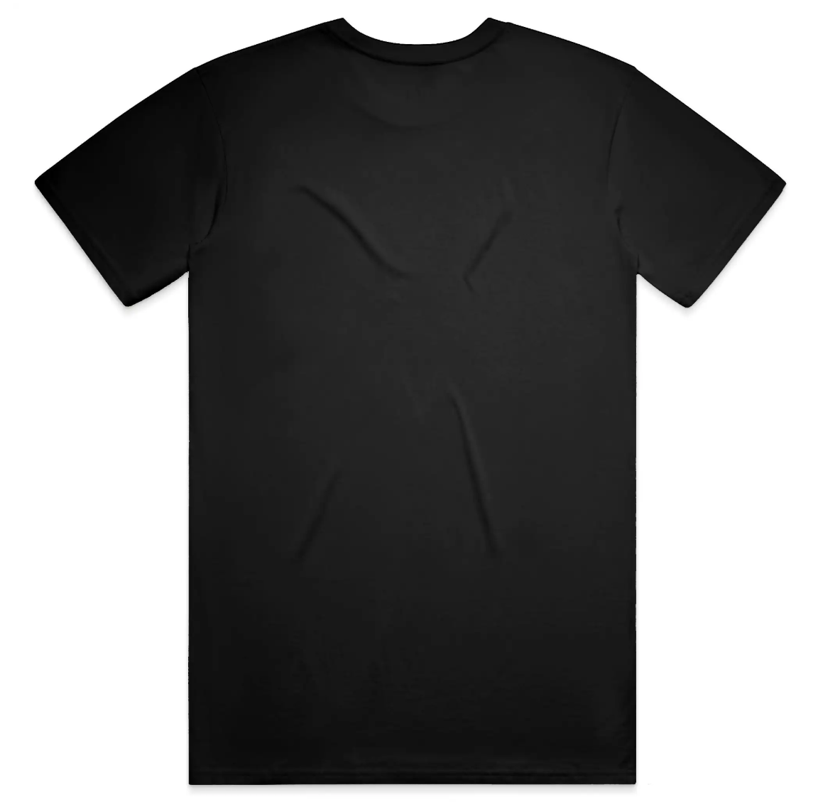 Back view of Canvas & Iron black US4000 Supima cotton T-shirt