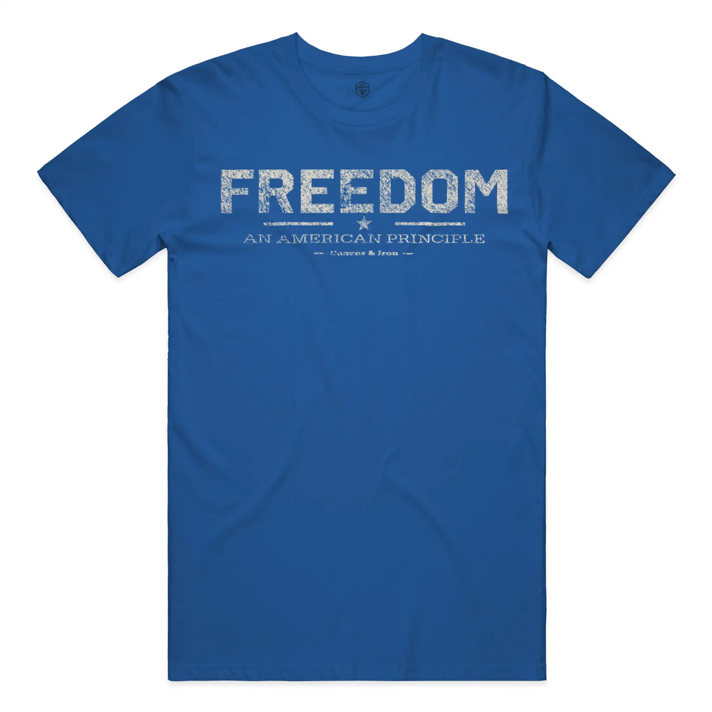 [Royal Blue] Canvas & Iron Freedom Essential royal blue T-shirt back view with clean undecorated back